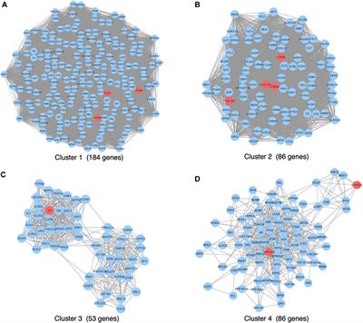 Neuropsychiatric Adverse Events of Montelukast: An Analysis of Real-World Datasets and drug−gene Interaction Network